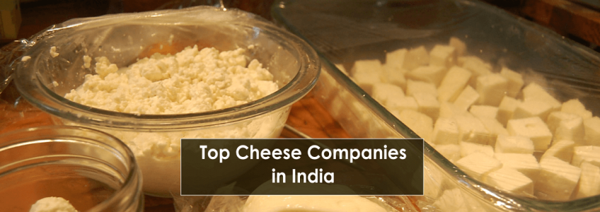 Cheese Market in India: Leading Players in the Industry
