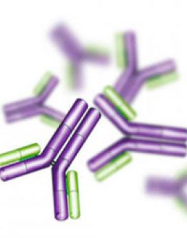 2013 Sales of Recombinant Therapeutic Antibodies & Proteins