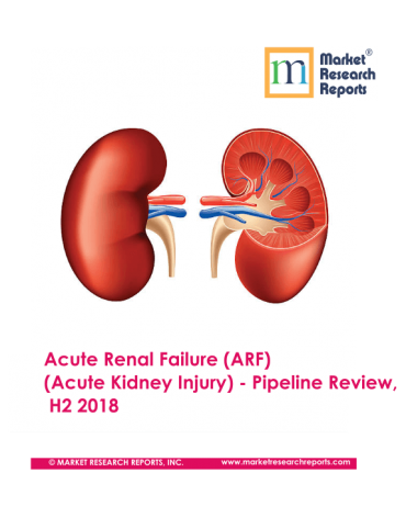 Acute Renal Failure (ARF) (Acute Kidney Injury) - Pipeline Review, H2 2018