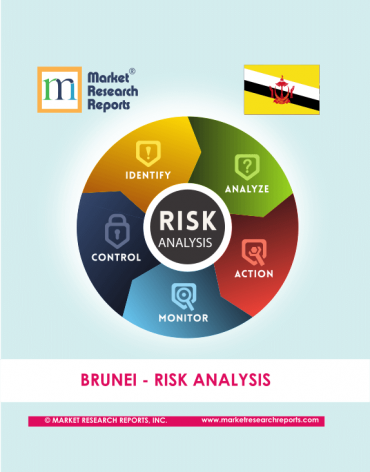 Brunei Risk Analysis Market Research Report