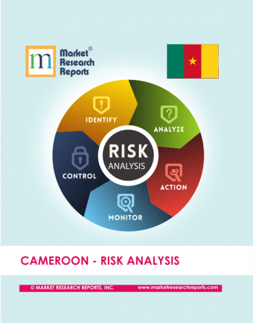 Cameroon Risk Analysis Market Research Report