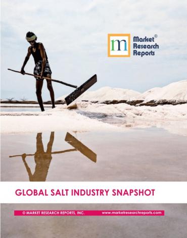 Global Salt Industry Snapshot Market Research Report