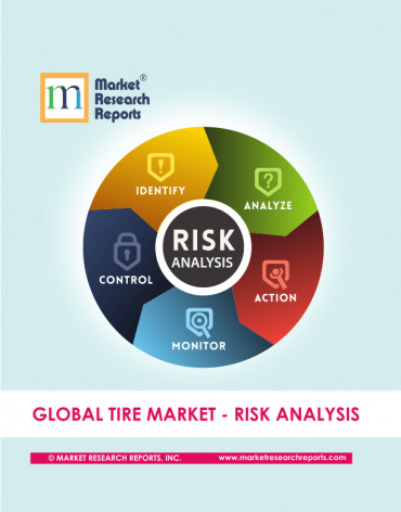 Global Tire Market Risk Analysis