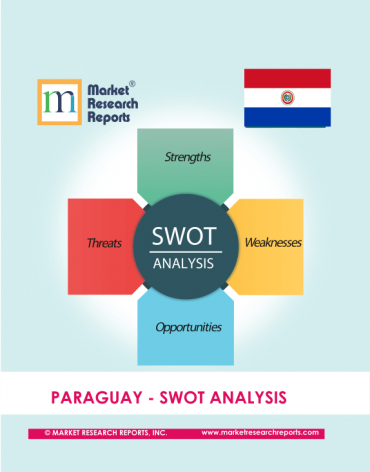Paraguay SWOT Analysis Market Research Report
