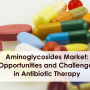 Aminoglycosides Market: Opportunities and Challenges in Antibiotic Therapy