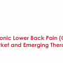 Chronic Lower Back Pain (CLBP) Market and Emerging Therapies
