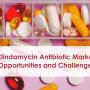 Clindamycin Antibiotic Market: Opportunities and Challenges