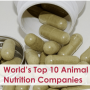 World’s Top 10 Animal Nutrition Companies
