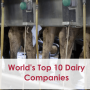 World’s Top 10 Dairy Companies